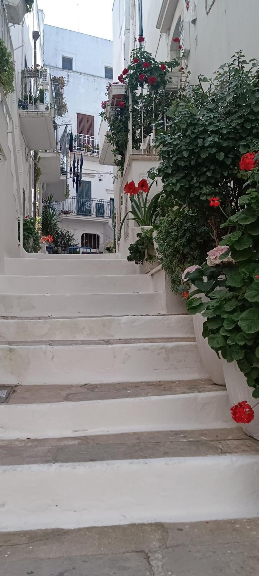 فندق La Chicca Di C.Cavour أوستوني المظهر الخارجي الصورة